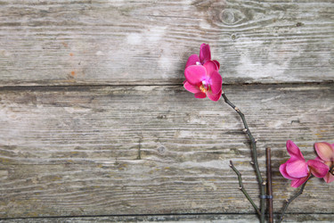 Similar image 1580465