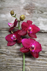 Similar image 1580468