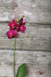 Similar image 1580469