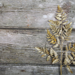 Similar image 1580470