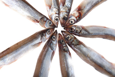 Similar image 1580481