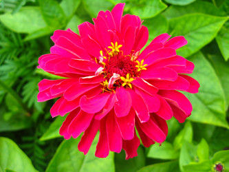 Similar image 1580712