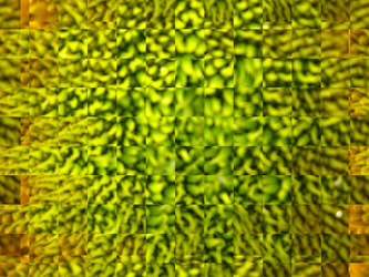 Similar image 1580954