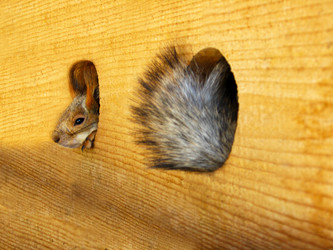 Similar image 1580957