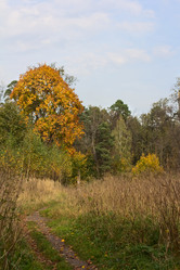 Similar image 1580958