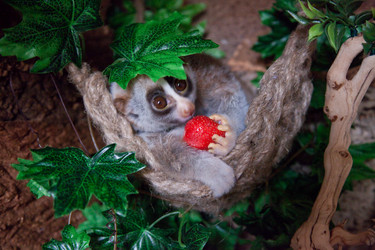 Similar image 1581008