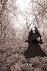 Similar image 1581031