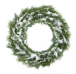 Similar image 1581142