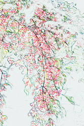 Similar image 1581218