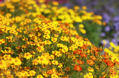 Similar image 1581219