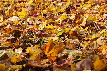 Similar image 1581278