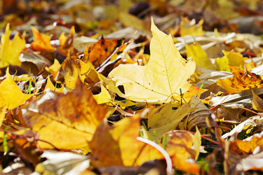 Similar image 1581292