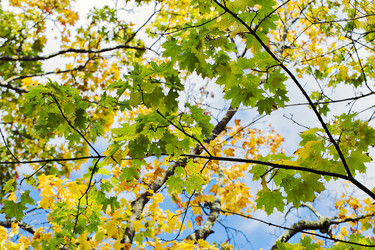 Similar image 1581316