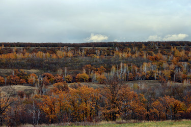 Similar image 1581344