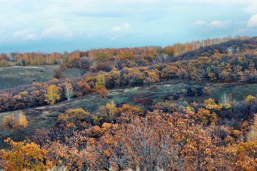 Similar image 1581345