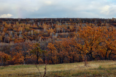 Similar image 1581346