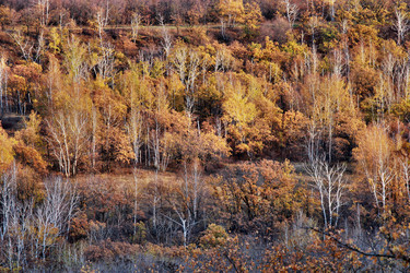 Similar image 1581347