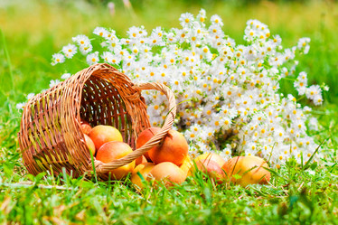 Similar image 1581350