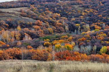 Similar image 1581355