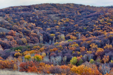 Similar image 1581356