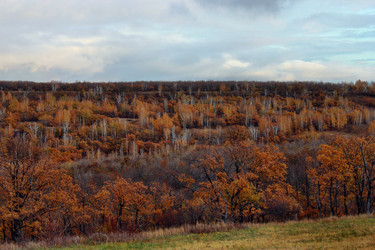 Similar image 1581357