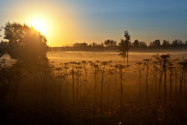 Similar image 1581359