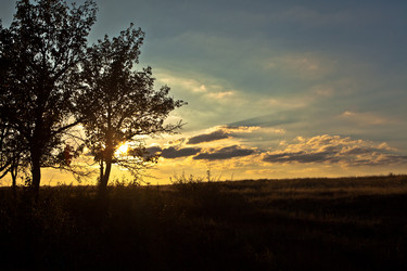 Similar image 1581360