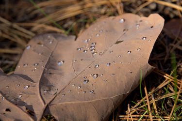 Similar image 1581363