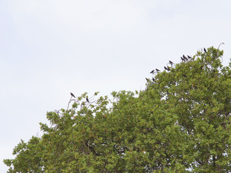 Similar image 1581390