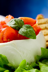 Similar image 1581609