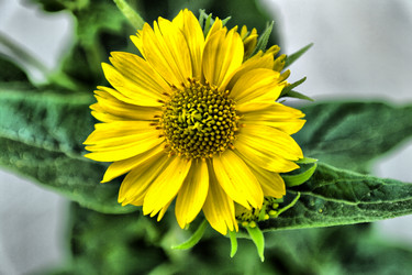 Similar image 1581647