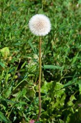 Similar image 1581681