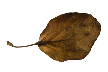 Similar image 1581692