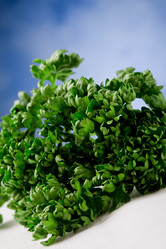 Similar image 1581757