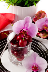 Similar image 1581817