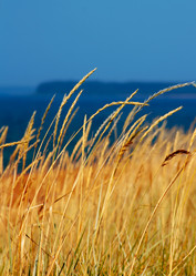 Similar image 1581914