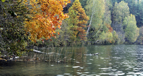 Similar image 1581920