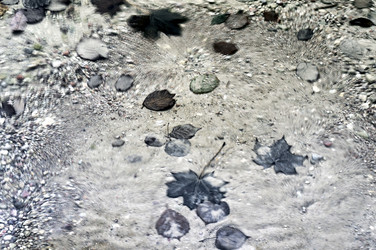 Similar image 1581925