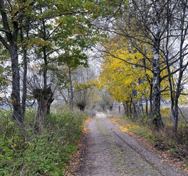 Similar image 1581929