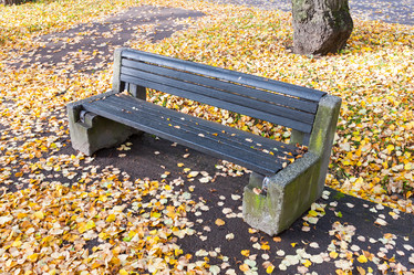 Similar image 1581932