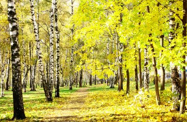 Similar image 1581991