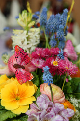 Similar image 1582055