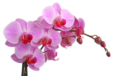 Similar image 1582061