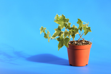 Similar image 1582090