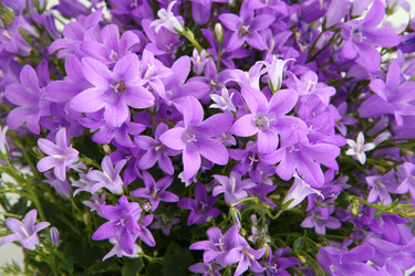 Similar image 1582108