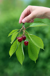 Similar image 1582213