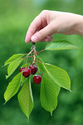 Similar image 1582215