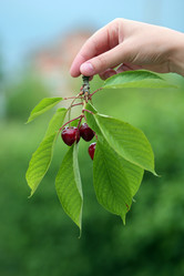 Similar image 1582221