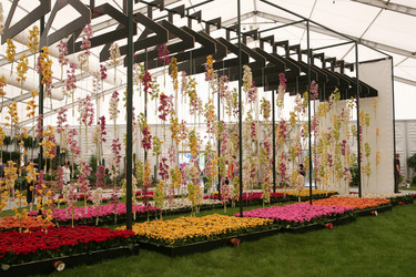 Similar image 1582222