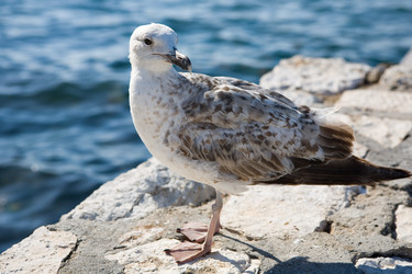 Similar image 1582228